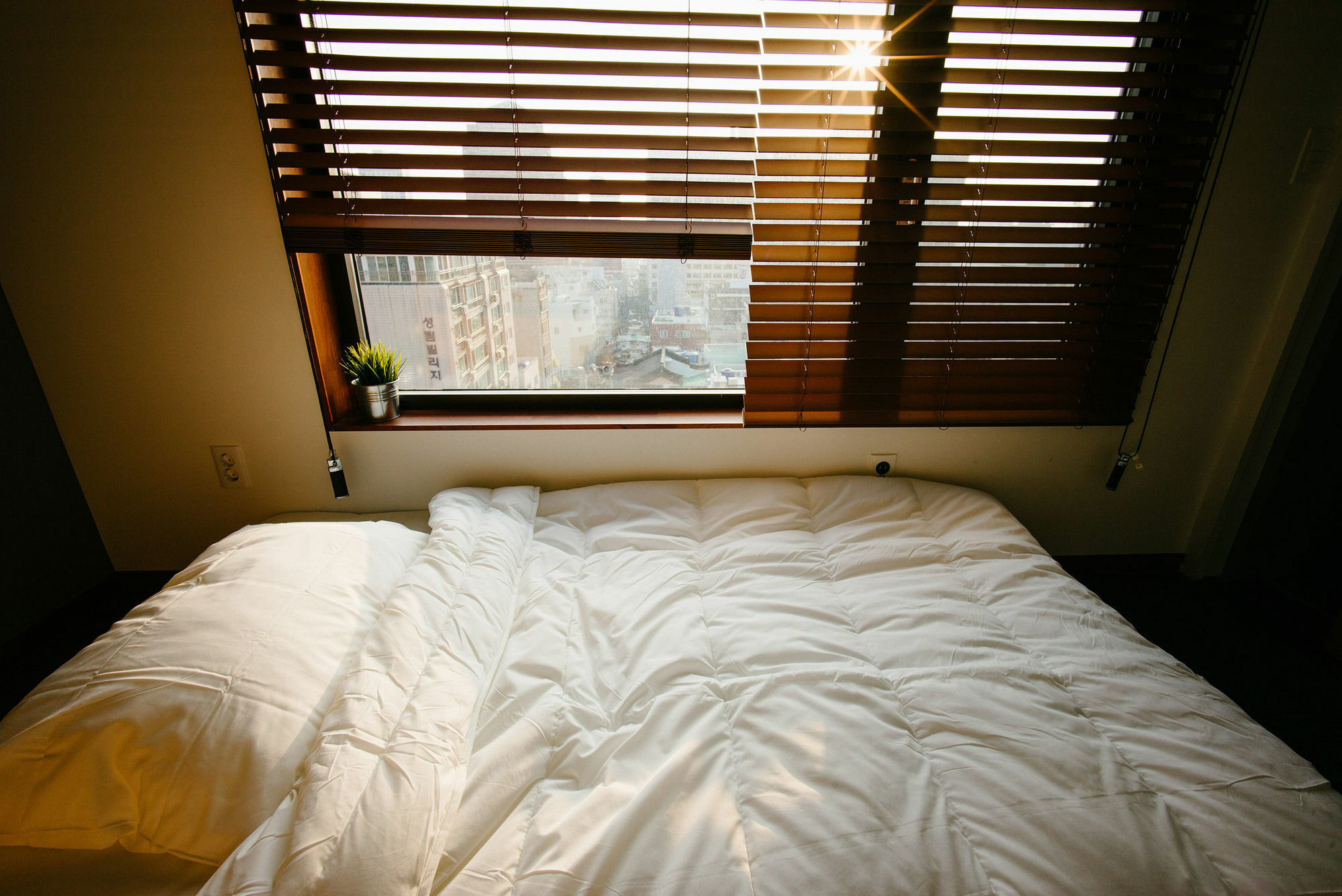 Morning Dew Guesthouse Busan Ngoại thất bức ảnh